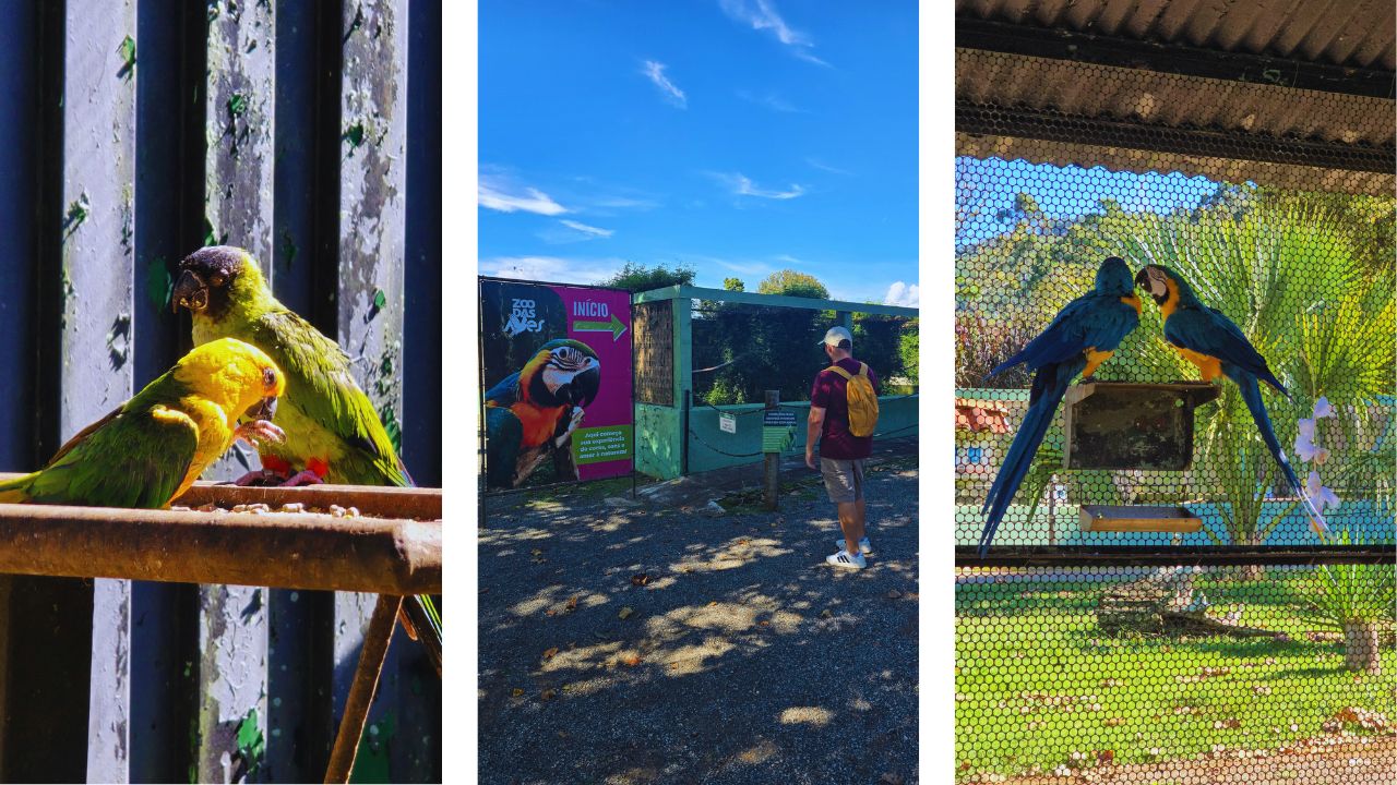 O que fazer em Poços de Caldas: Roteiro Completo 3 zoo das aves pocos de caldas • Rota dos Viajantes